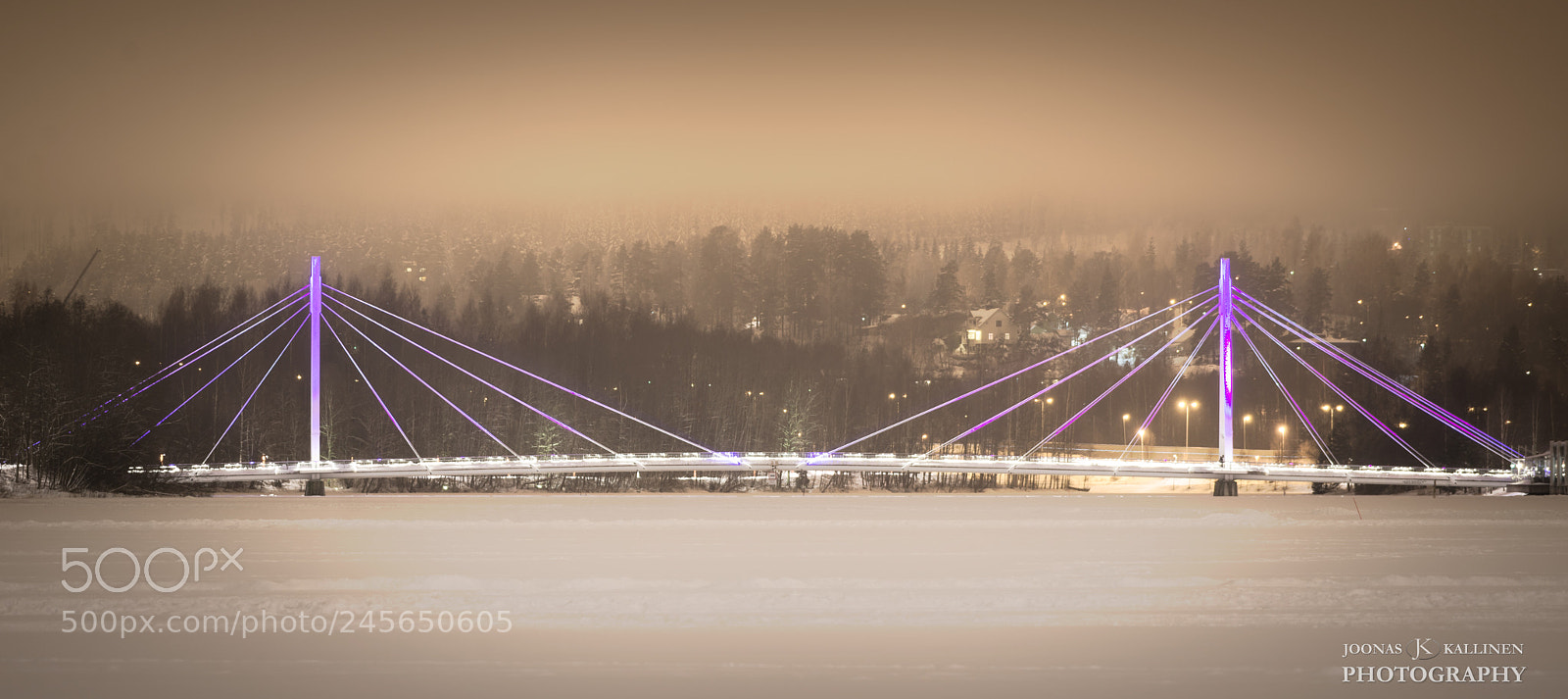Nikon D610 sample photo. Misty night photography