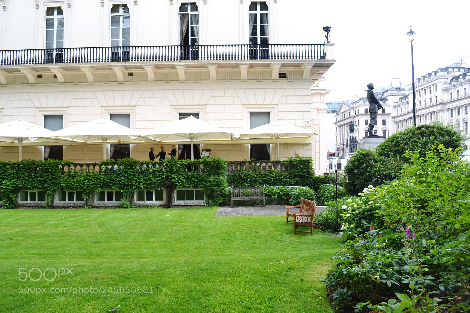 Nikon D3100 sample photo. Carlton terrace gardens, london photography
