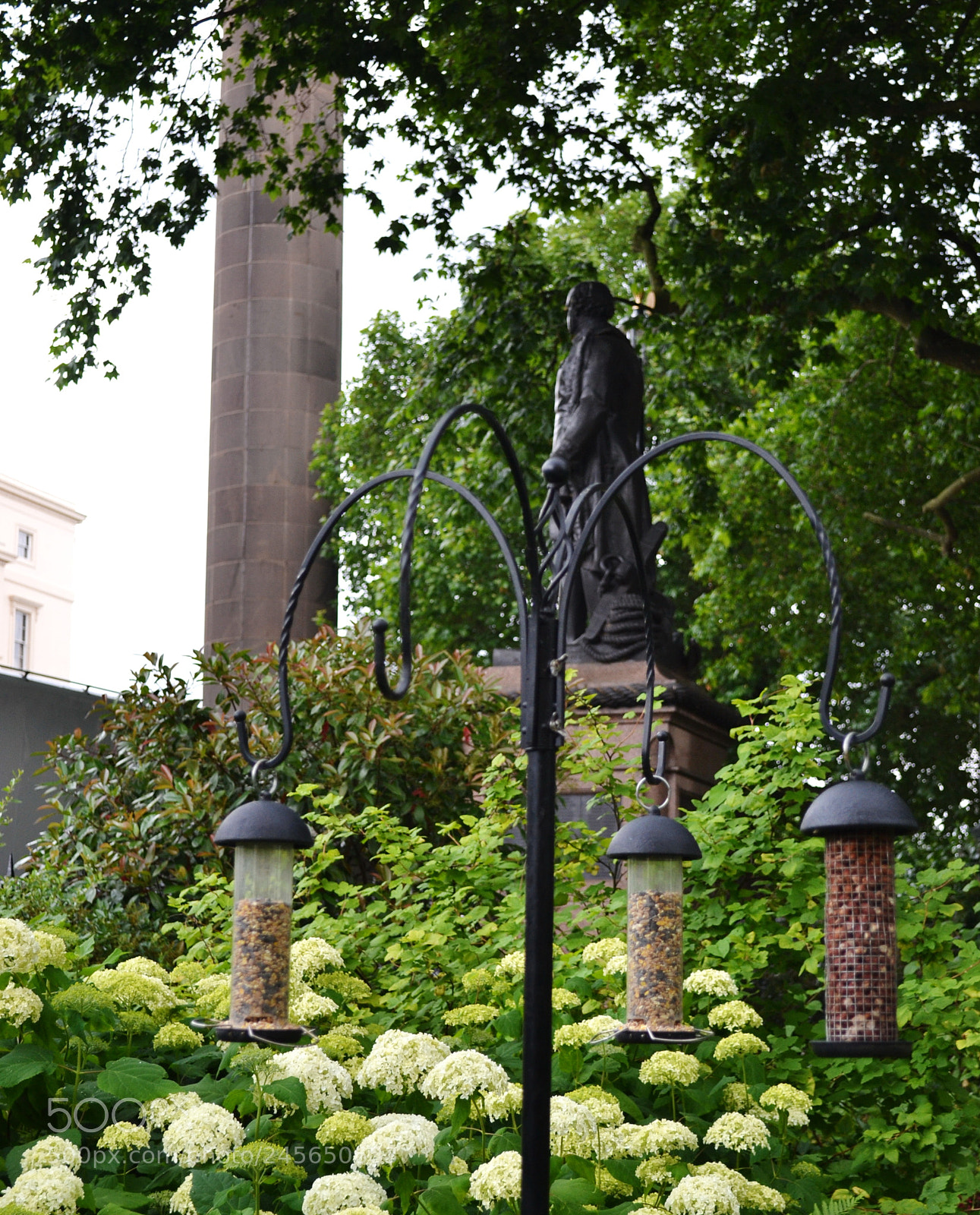 Nikon D3100 sample photo. Carlton terrace gardens, london photography