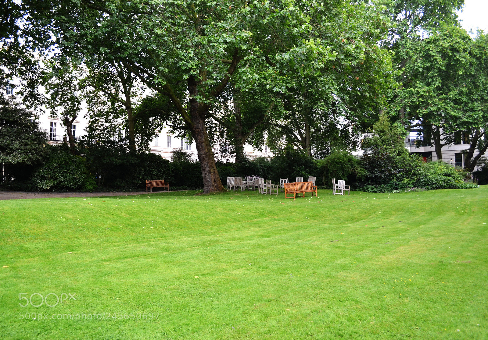 Nikon D3100 sample photo. Carlton terrace gardens, london photography