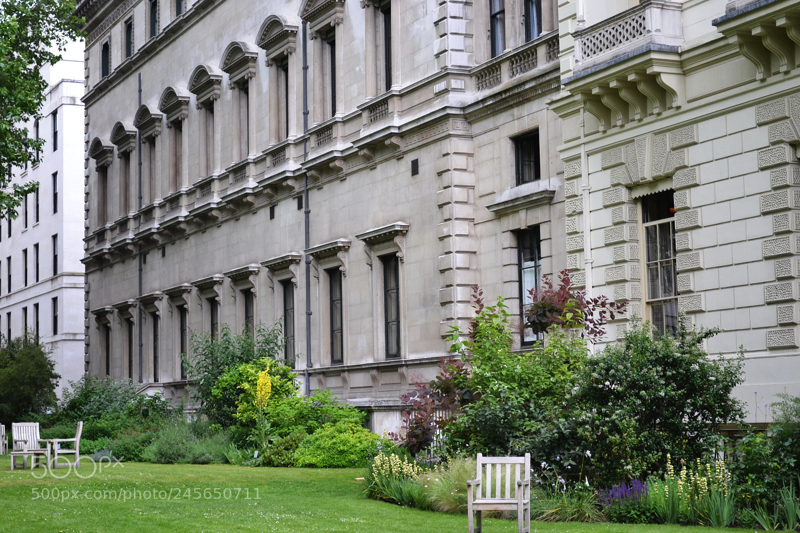 Nikon D3100 sample photo. Carlton terrace gardens, london photography