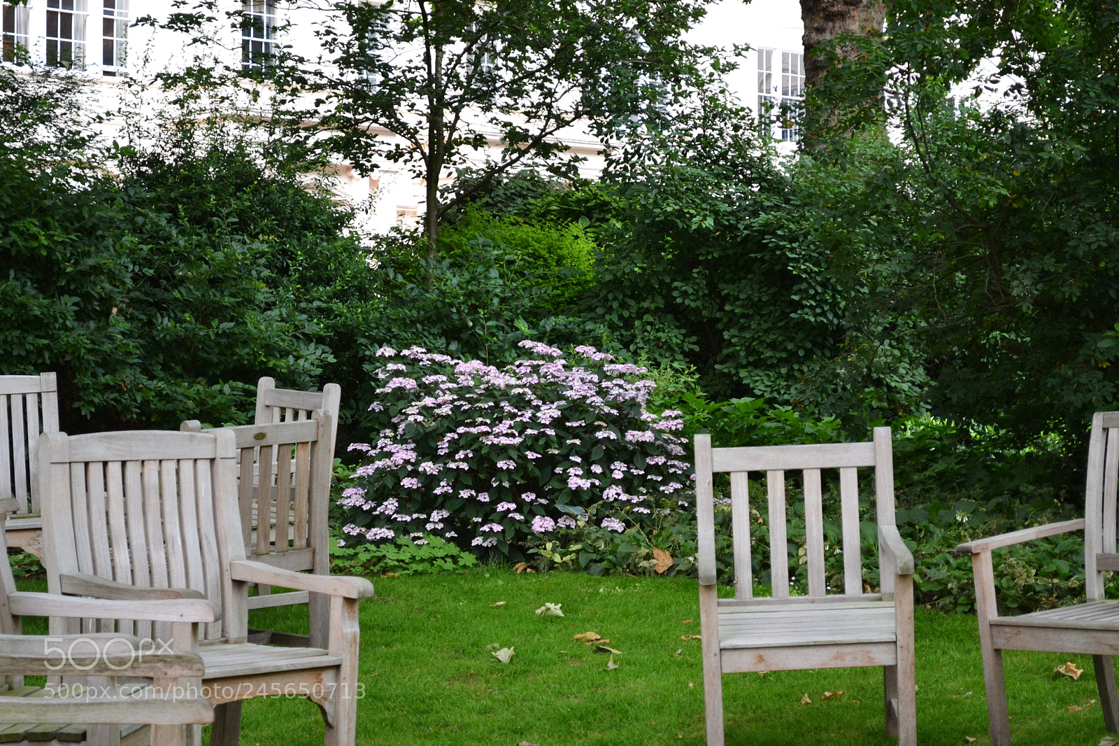 Nikon D3100 sample photo. Carlton terrace gardens, london photography
