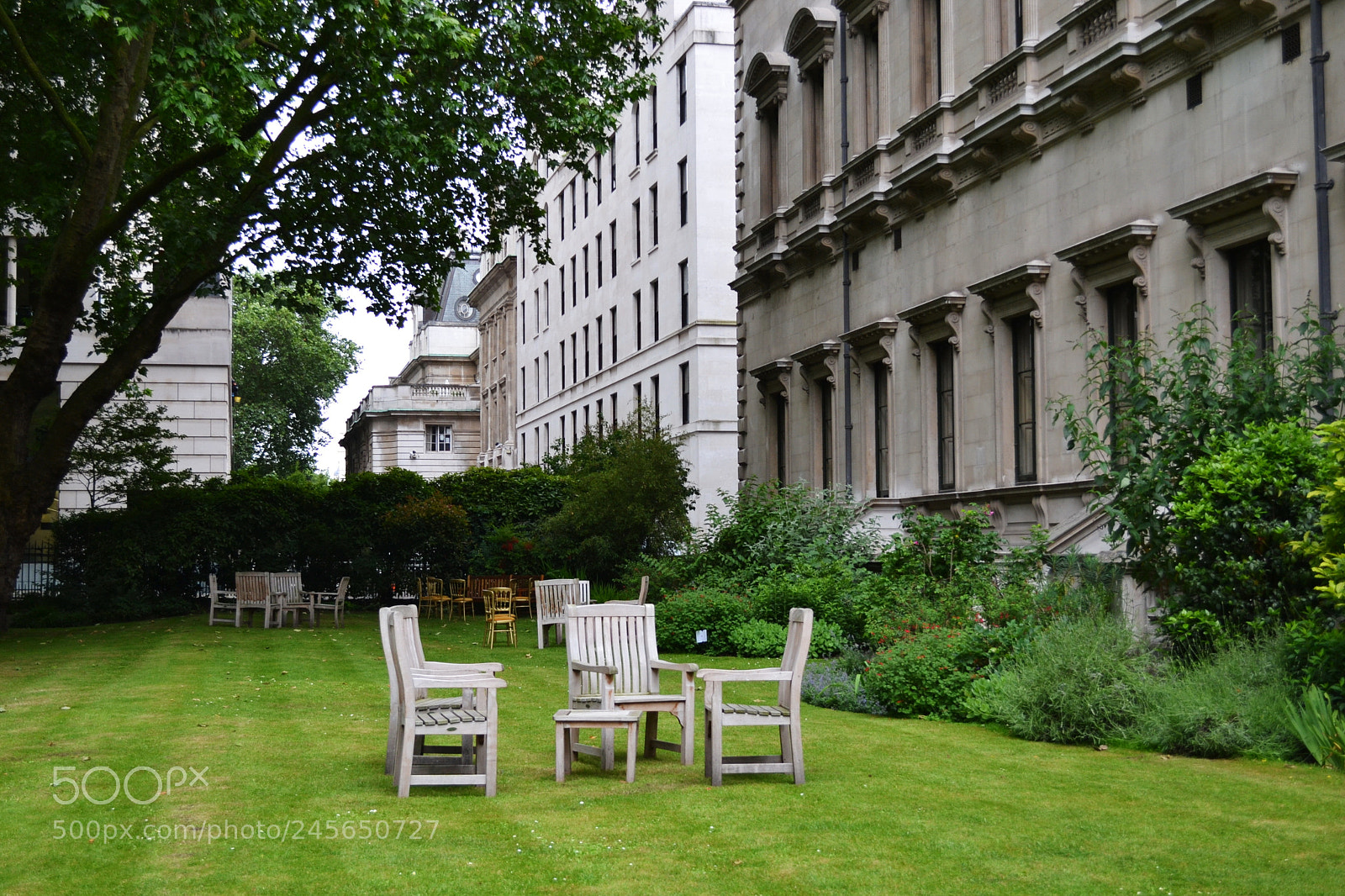 Nikon D3100 sample photo. Carlton terrace gardens, london photography