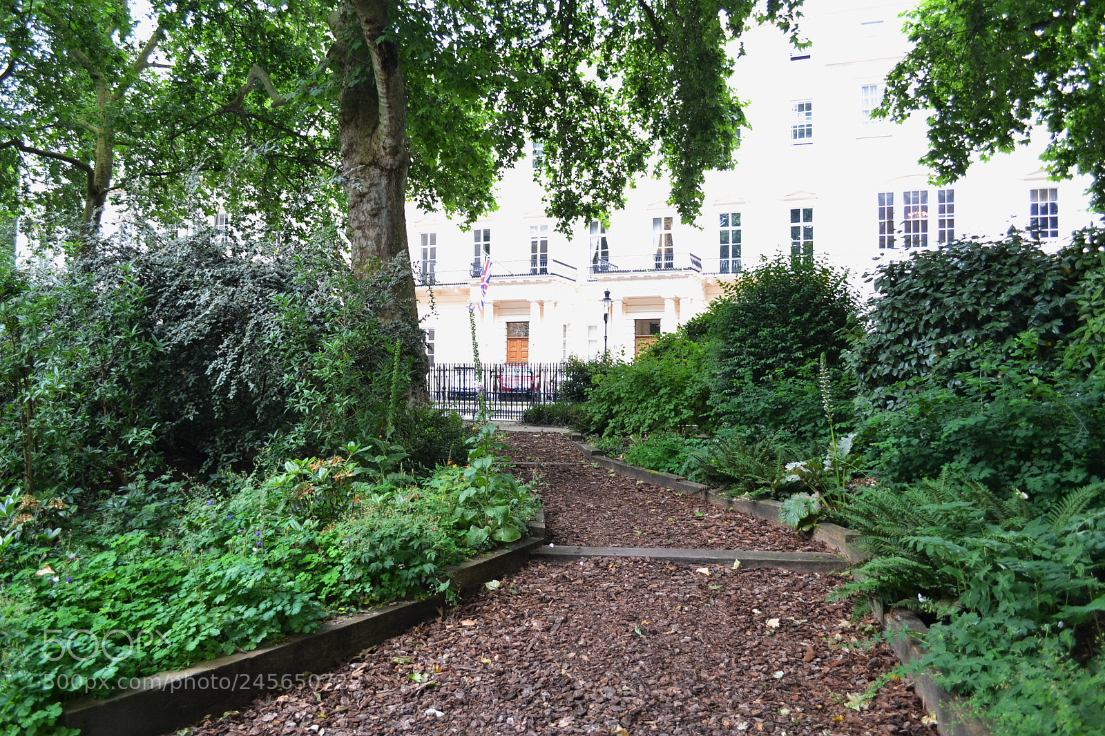 Nikon D3100 sample photo. Carlton terrace gardens, london photography