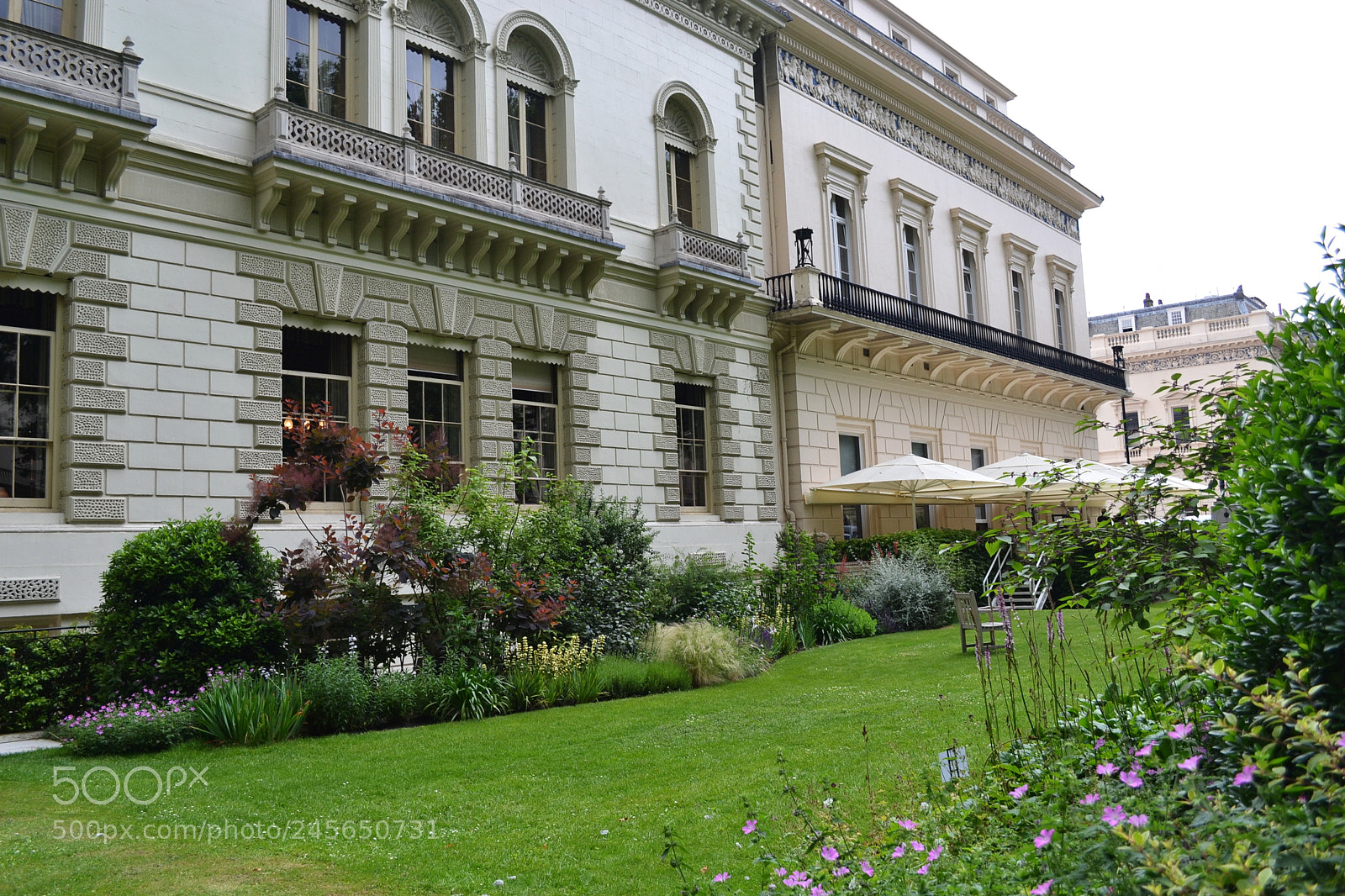 Nikon D3100 sample photo. Carlton terrace gardens, london photography