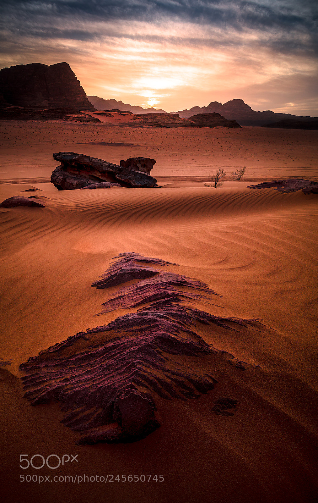 Canon EOS 5DS R sample photo. Rocks in dune photography