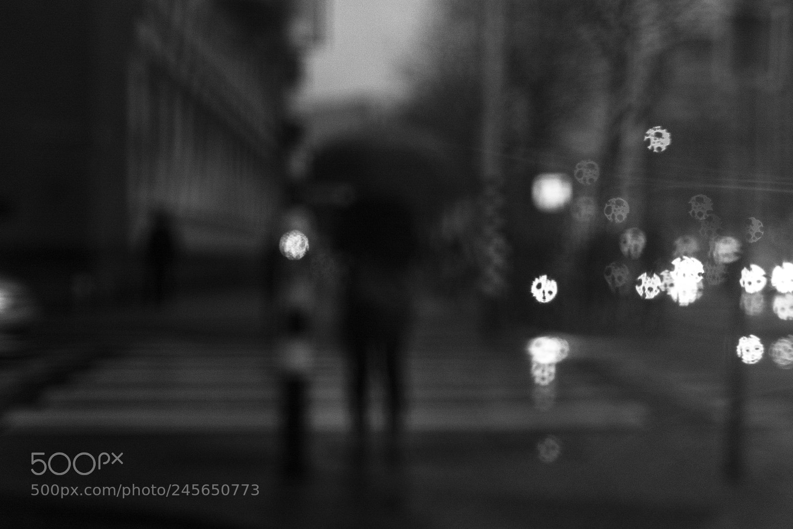 Nikon D7100 sample photo. Through the rain photography