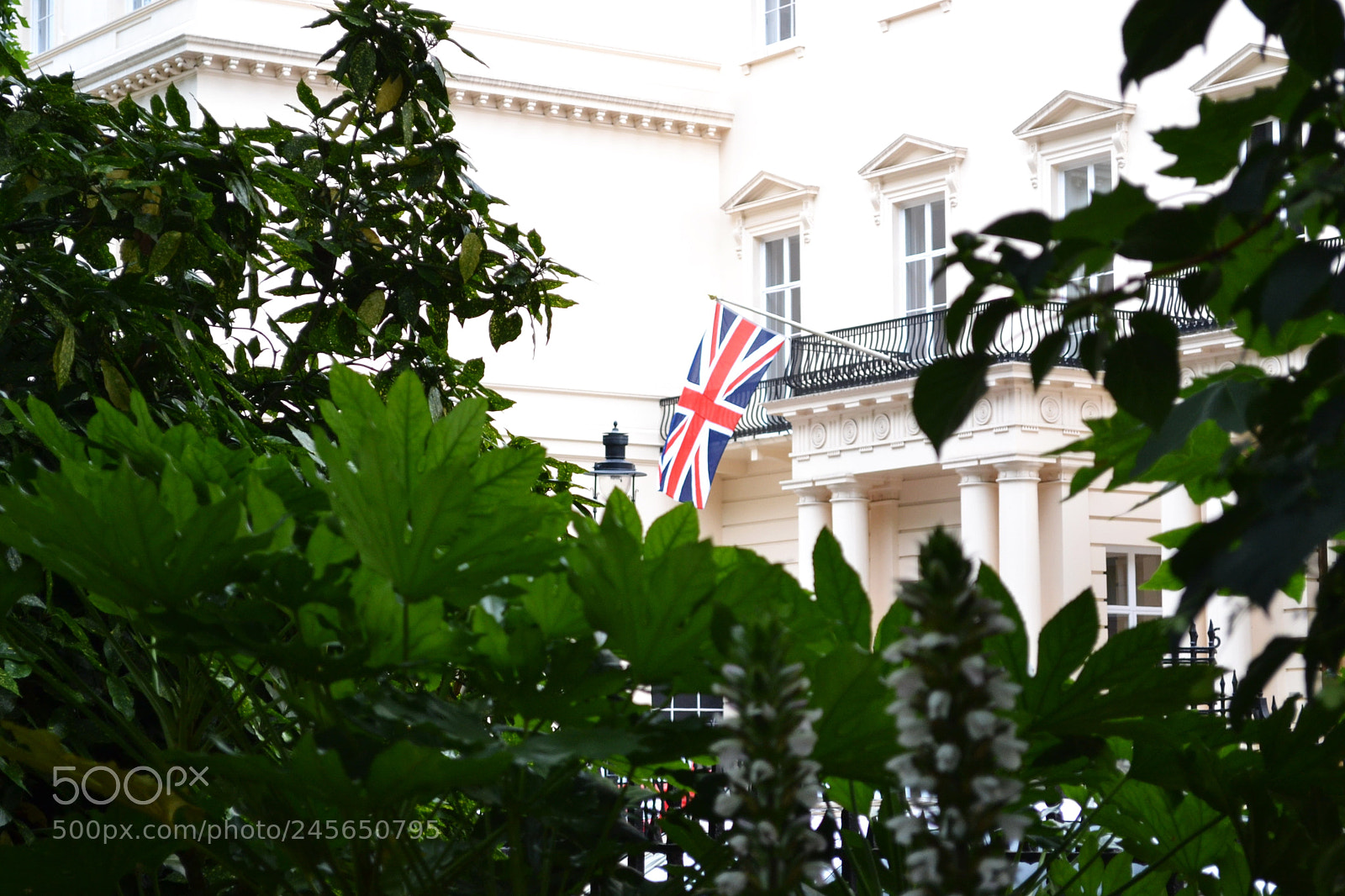 Nikon D3100 sample photo. Carlton terrace gardens, london photography