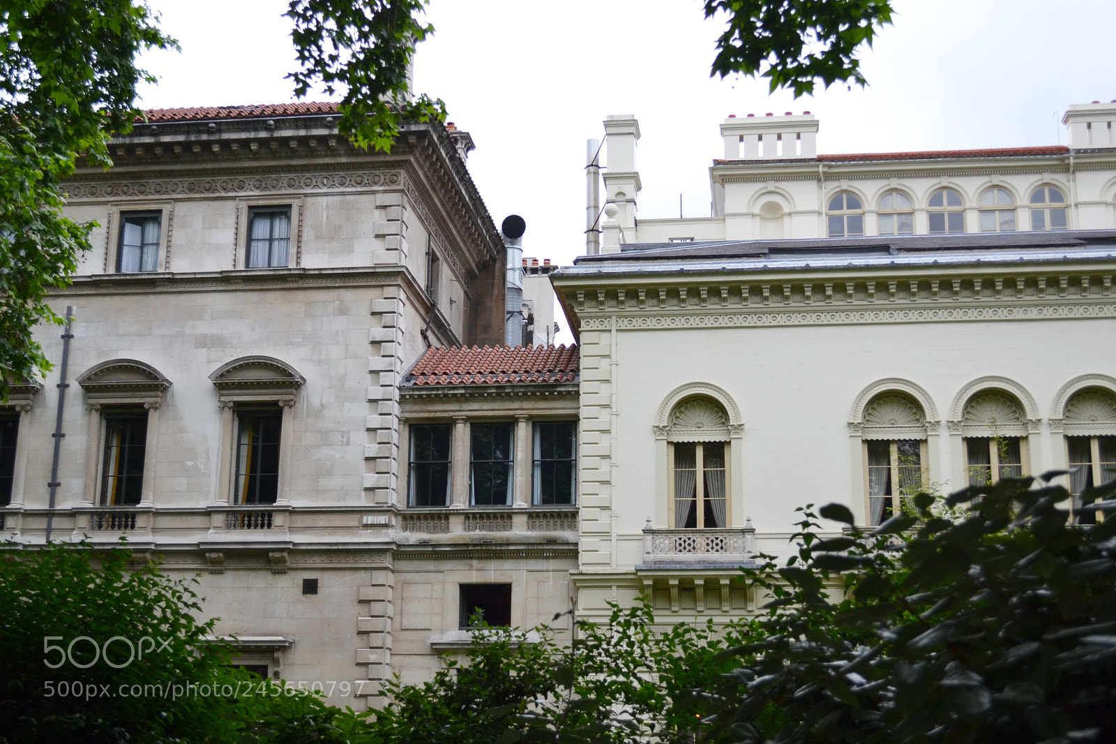 Nikon D3100 sample photo. Carlton terrace gardens, london photography
