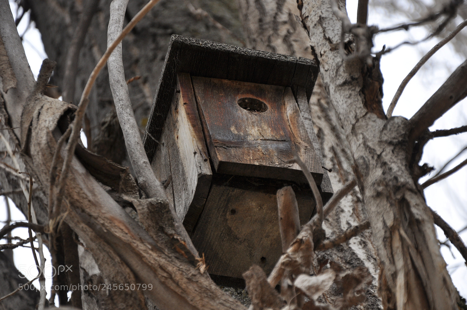 Nikon D90 sample photo. S&s photography