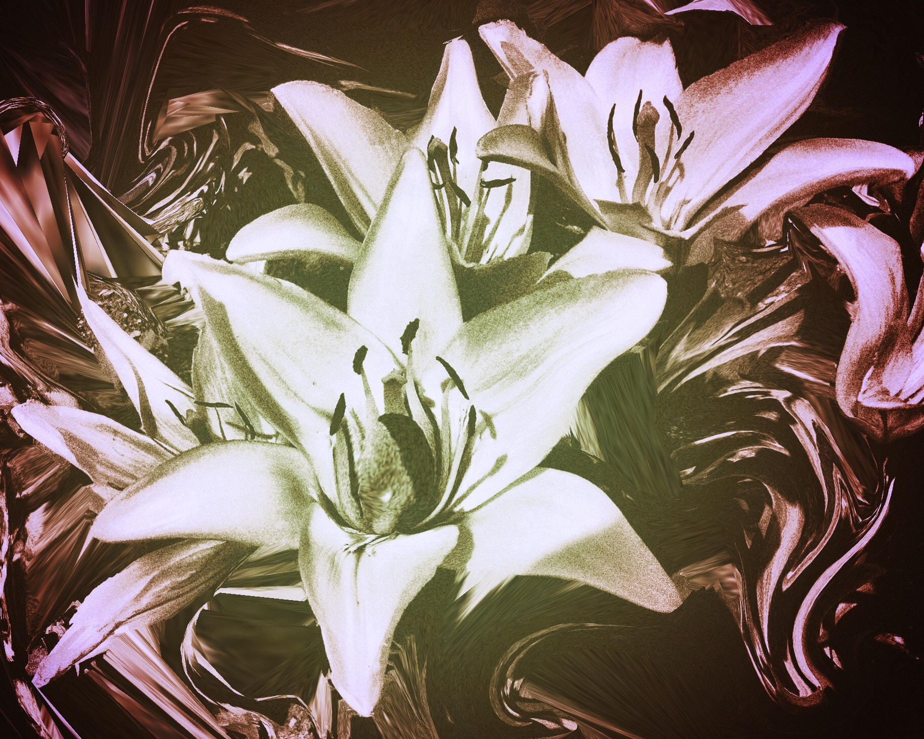 Olympus C730UZ sample photo. Flower meets chaos photography