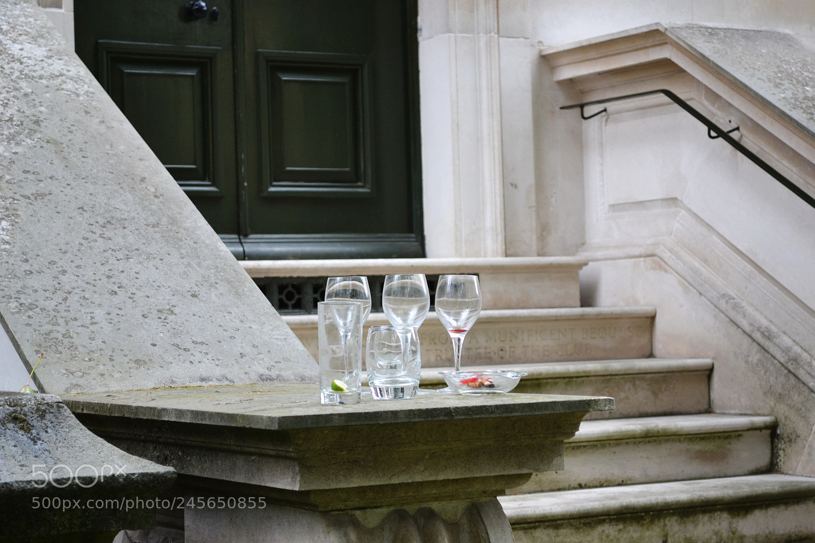 Nikon D3100 sample photo. Carlton terrace gardens, london photography