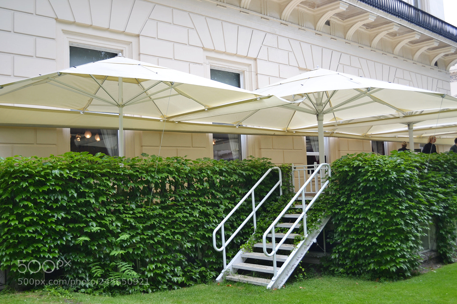Nikon D3100 sample photo. Carlton terrace gardens, london photography