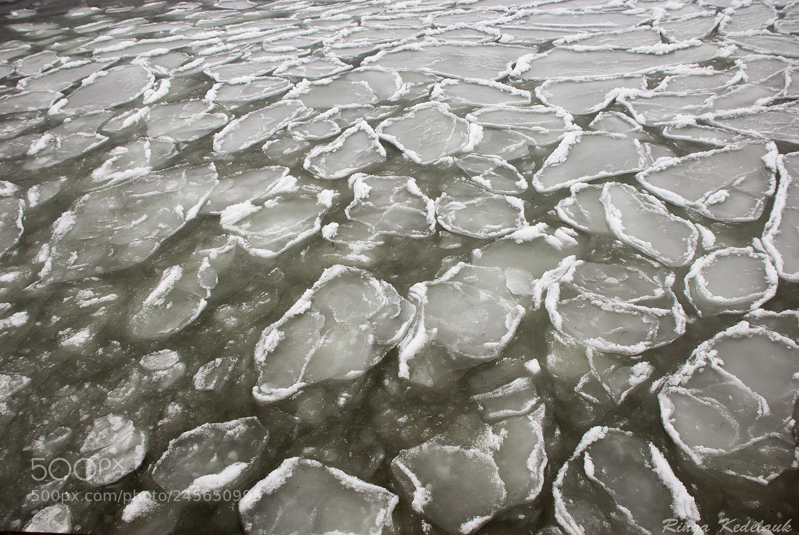Nikon D80 sample photo. Sea ice photography