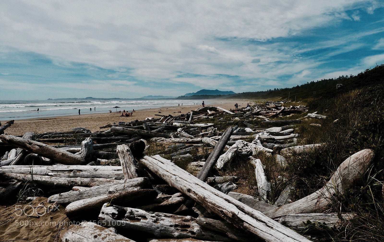 Olympus OM-D E-M5 II sample photo. Woods of canada photography