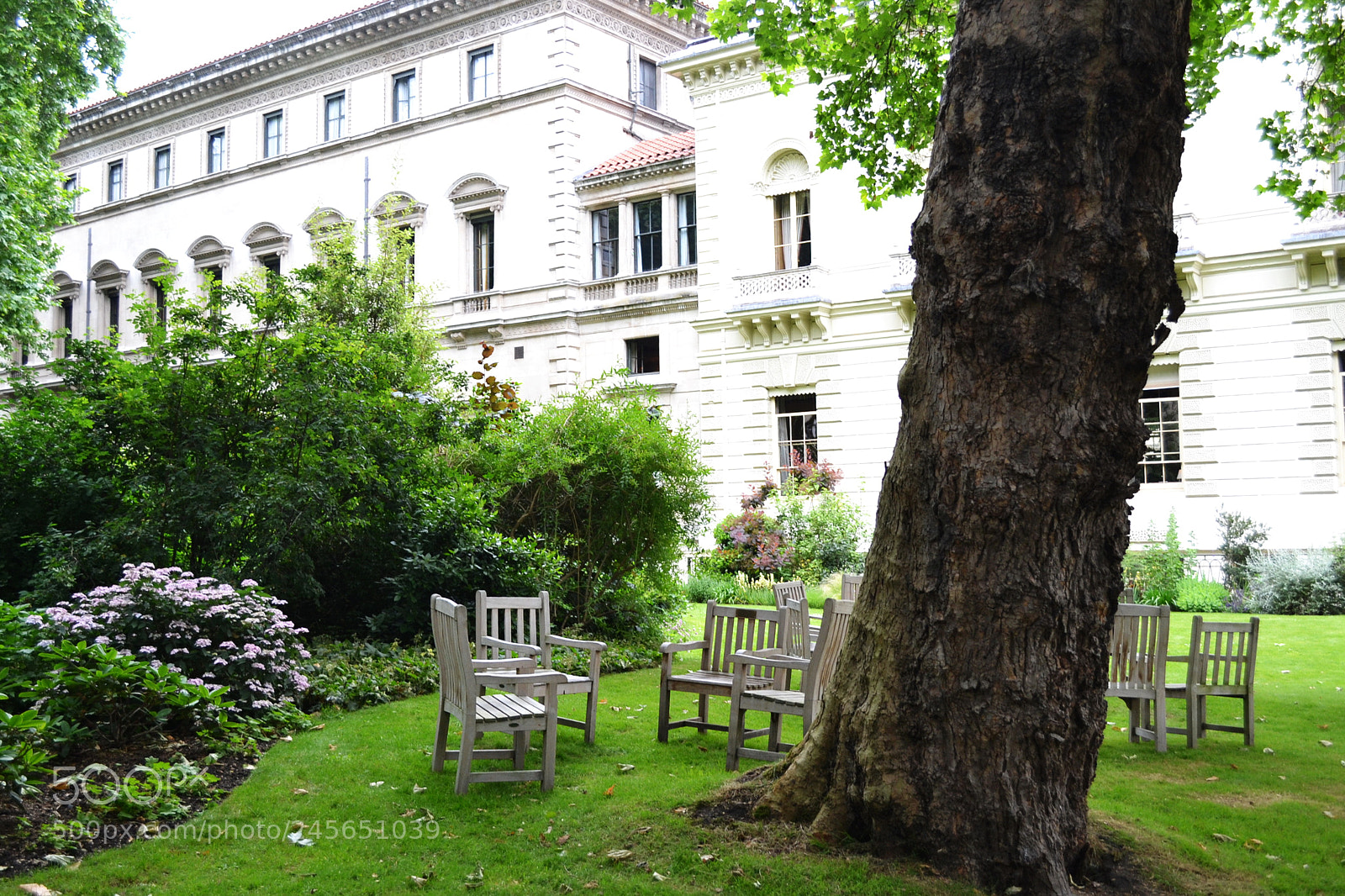 Nikon D3100 sample photo. Carlton terrace gardens, london photography