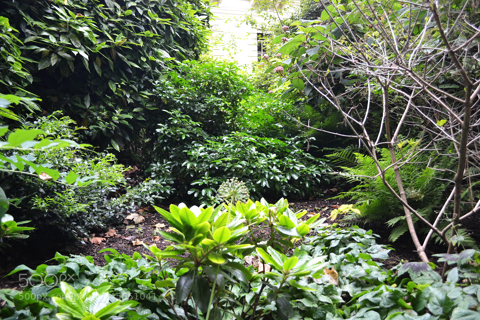 Nikon D3100 sample photo. Carlton terrace gardens, london photography