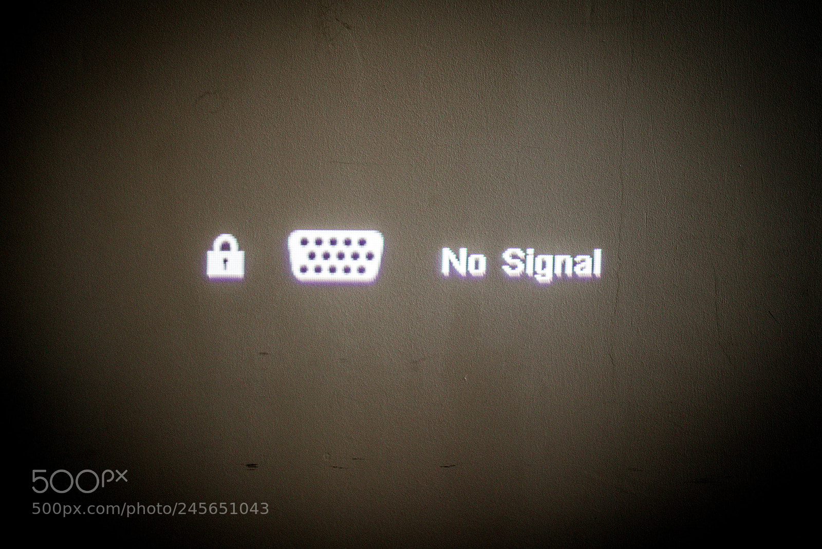 Nikon D610 sample photo. No signal photography