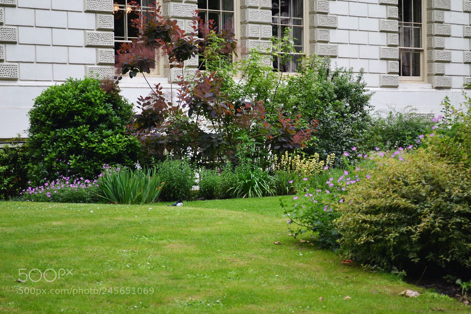 Nikon D3100 sample photo. Carlton terrace gardens, london photography