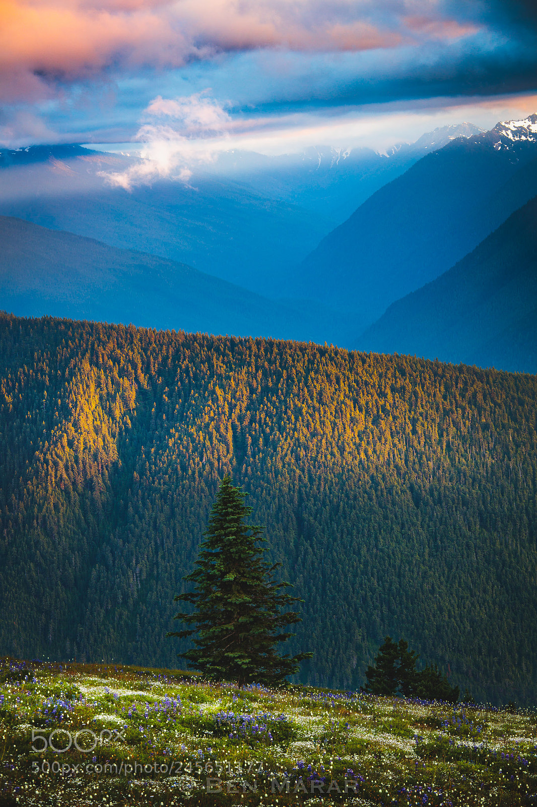 Canon EOS 5DS R sample photo. Olympic mountains photography