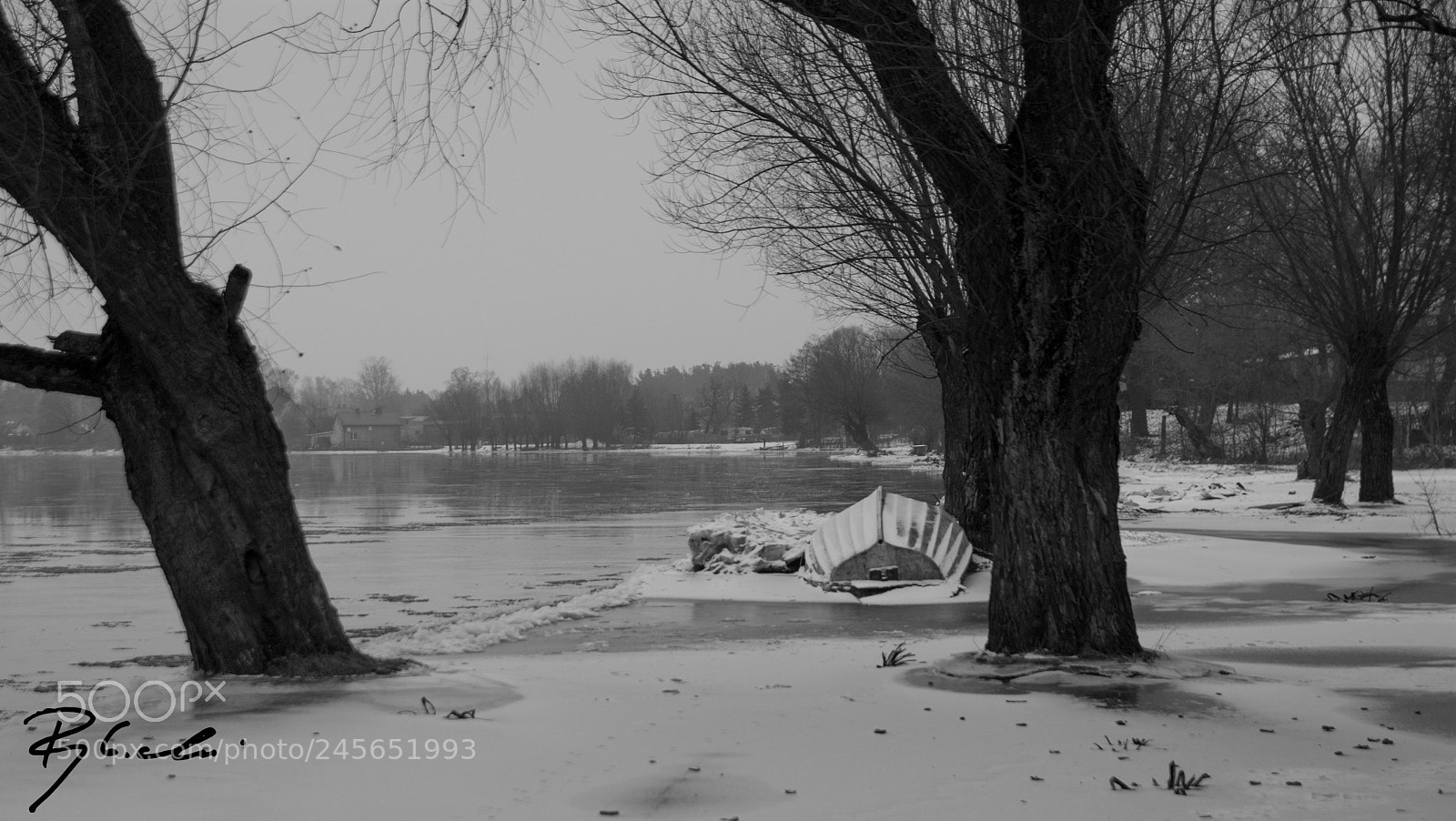 Sony Alpha DSLR-A350 sample photo. Winter i photography