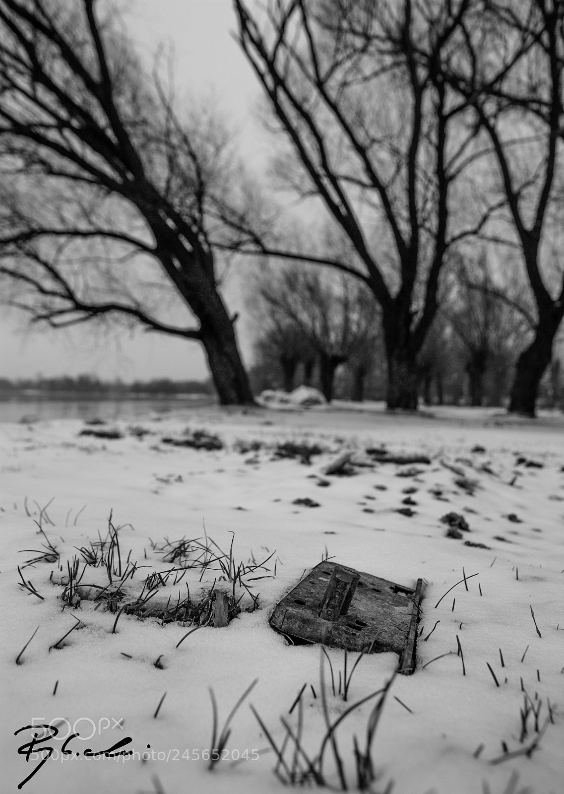 Sony Alpha DSLR-A350 sample photo. Winter ii photography