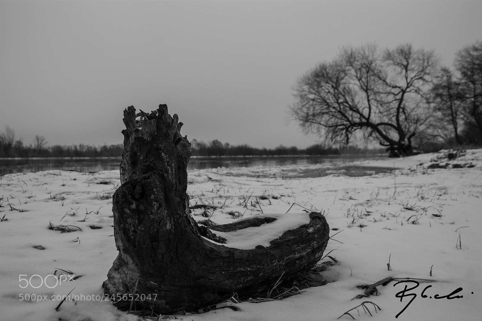 Sony Alpha DSLR-A350 sample photo. Winter iii photography