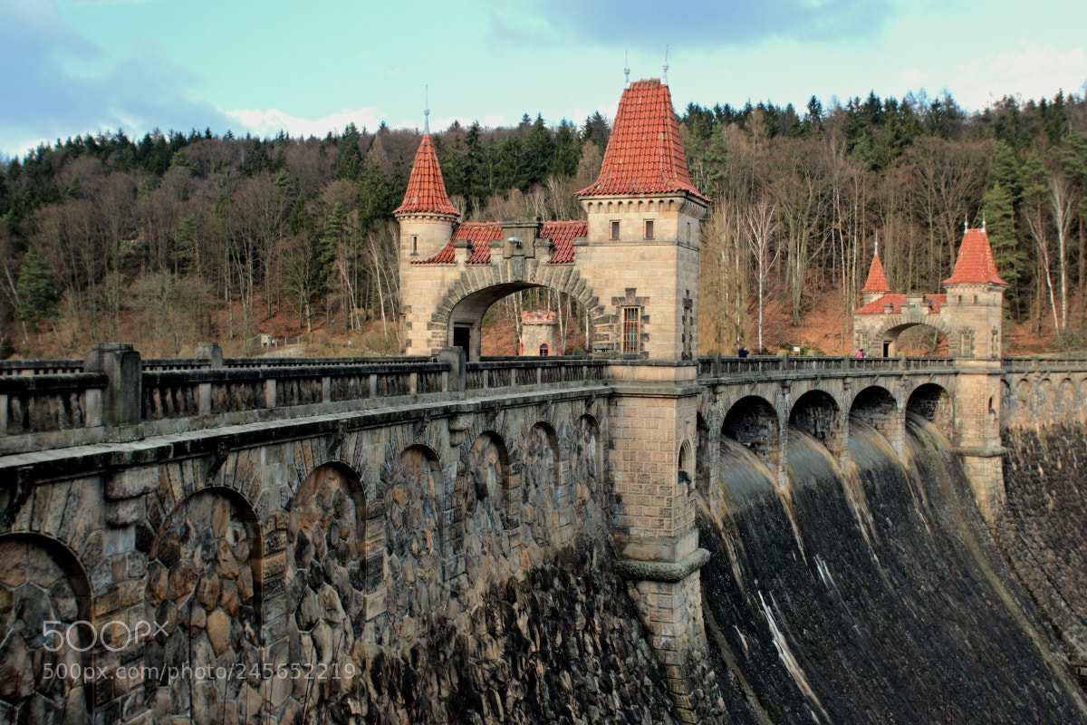 Nikon D300 sample photo. Dam les kr lovstv photography
