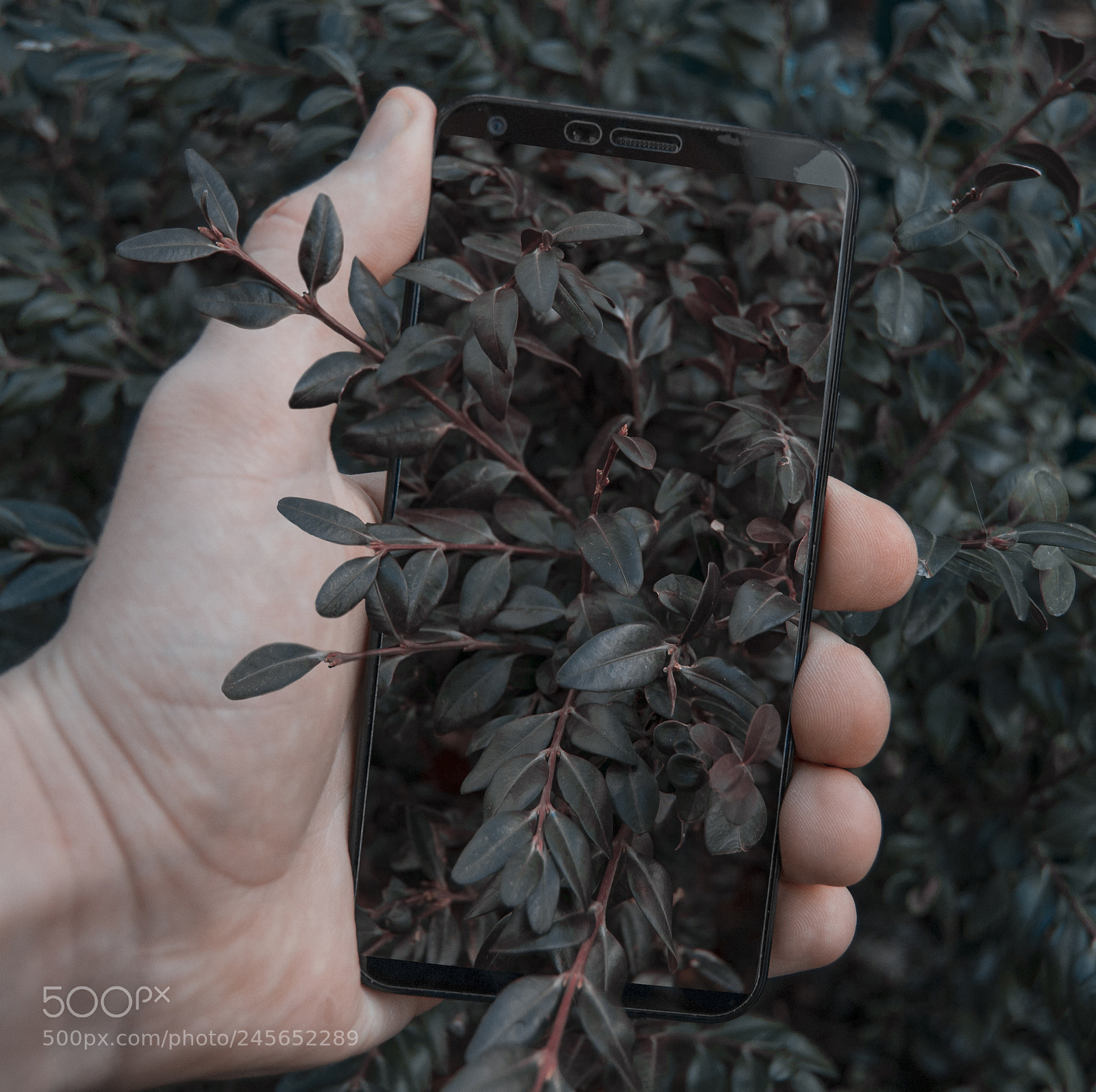 Nikon D3100 sample photo. Объем photography