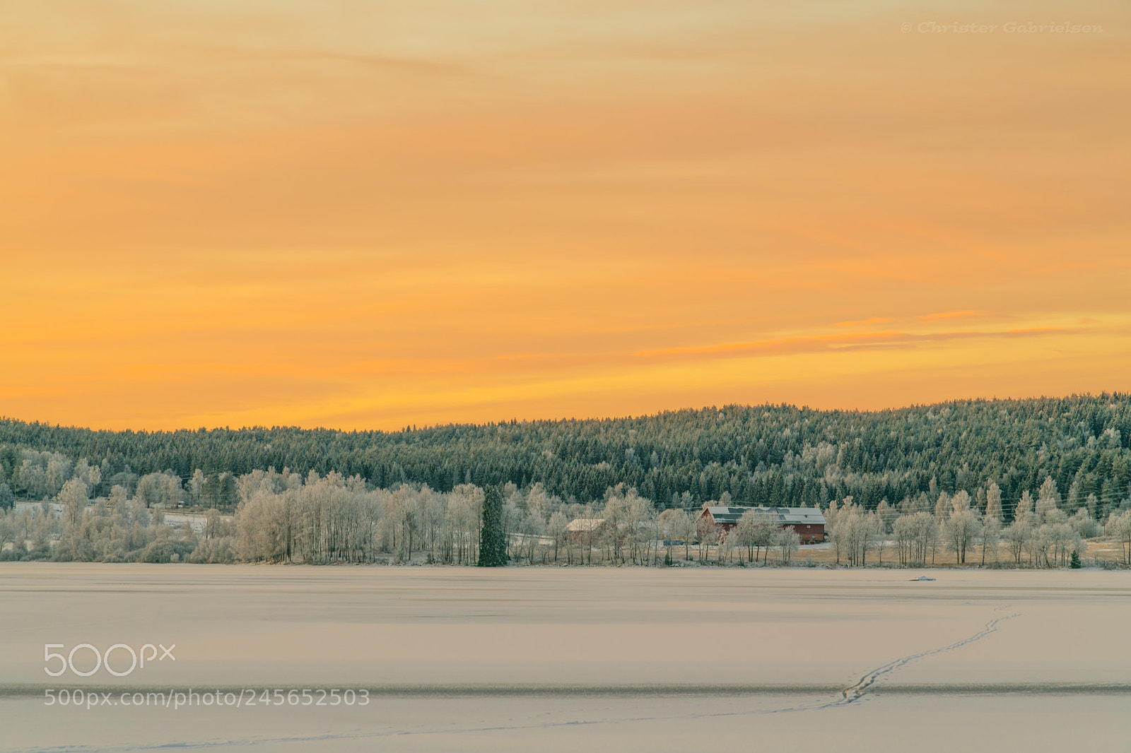 Nikon D850 sample photo. Wintery sunrise photography