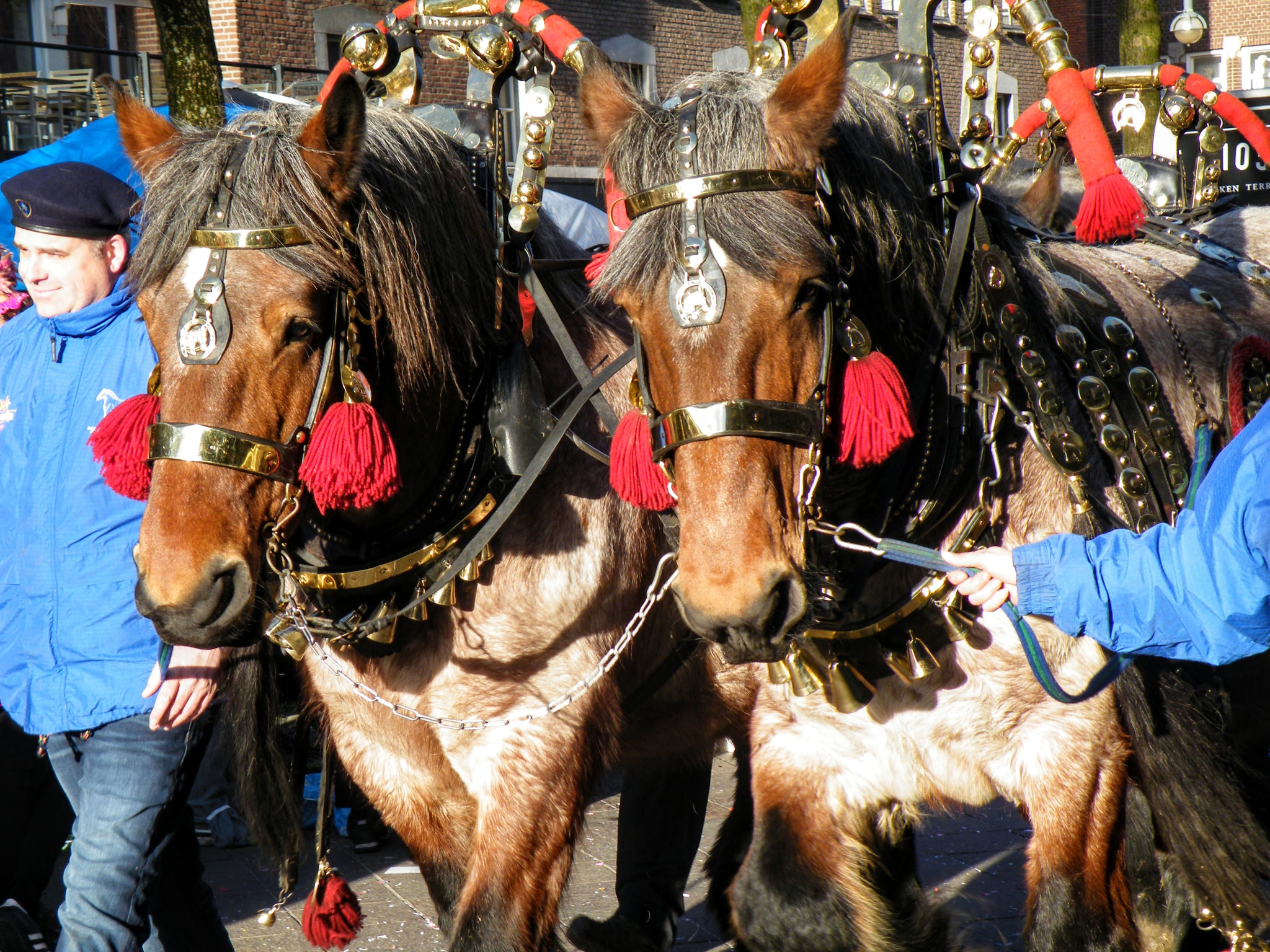 Fujifilm FinePix S8100fd sample photo. Carnaval eindhoven horses photography