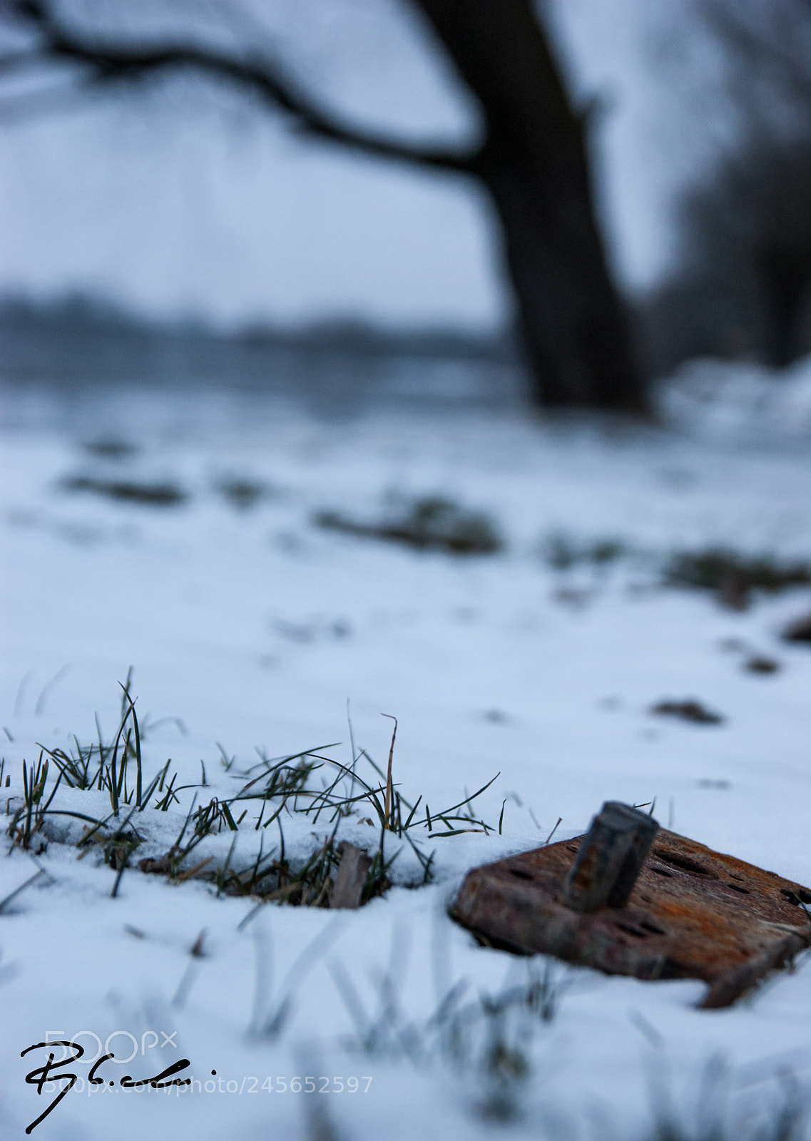 Sony Alpha DSLR-A350 sample photo. Rusty lock photography