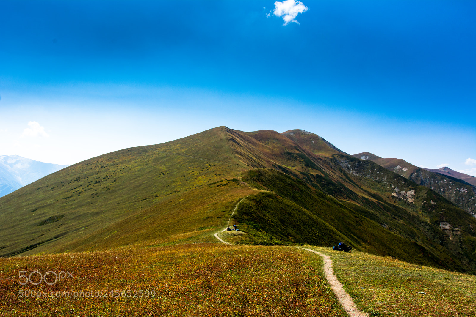 Nikon D7100 sample photo. The road ahead photography