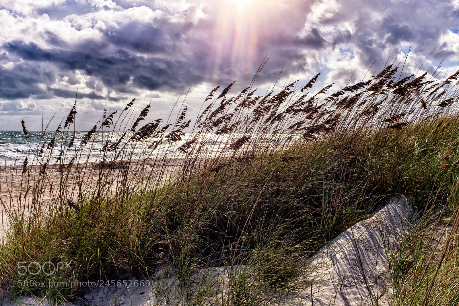Fujifilm X100S sample photo. In the dunes (color) photography
