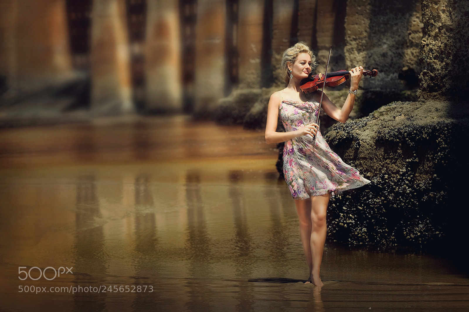 Nikon D700 sample photo. Violinist under the bridge photography