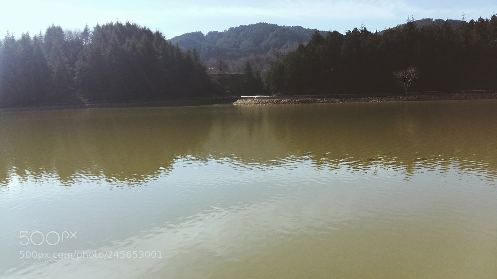 Samsung Galaxy A5 sample photo. The laaake photography