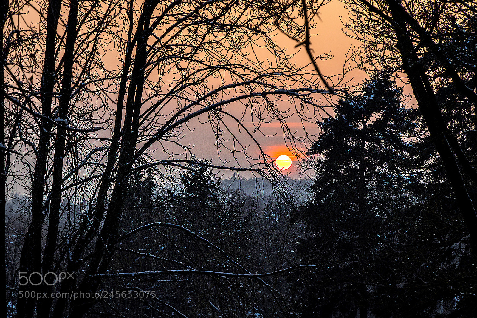 Canon EOS 77D (EOS 9000D / EOS 770D) sample photo. Soleil couchant dans les photography
