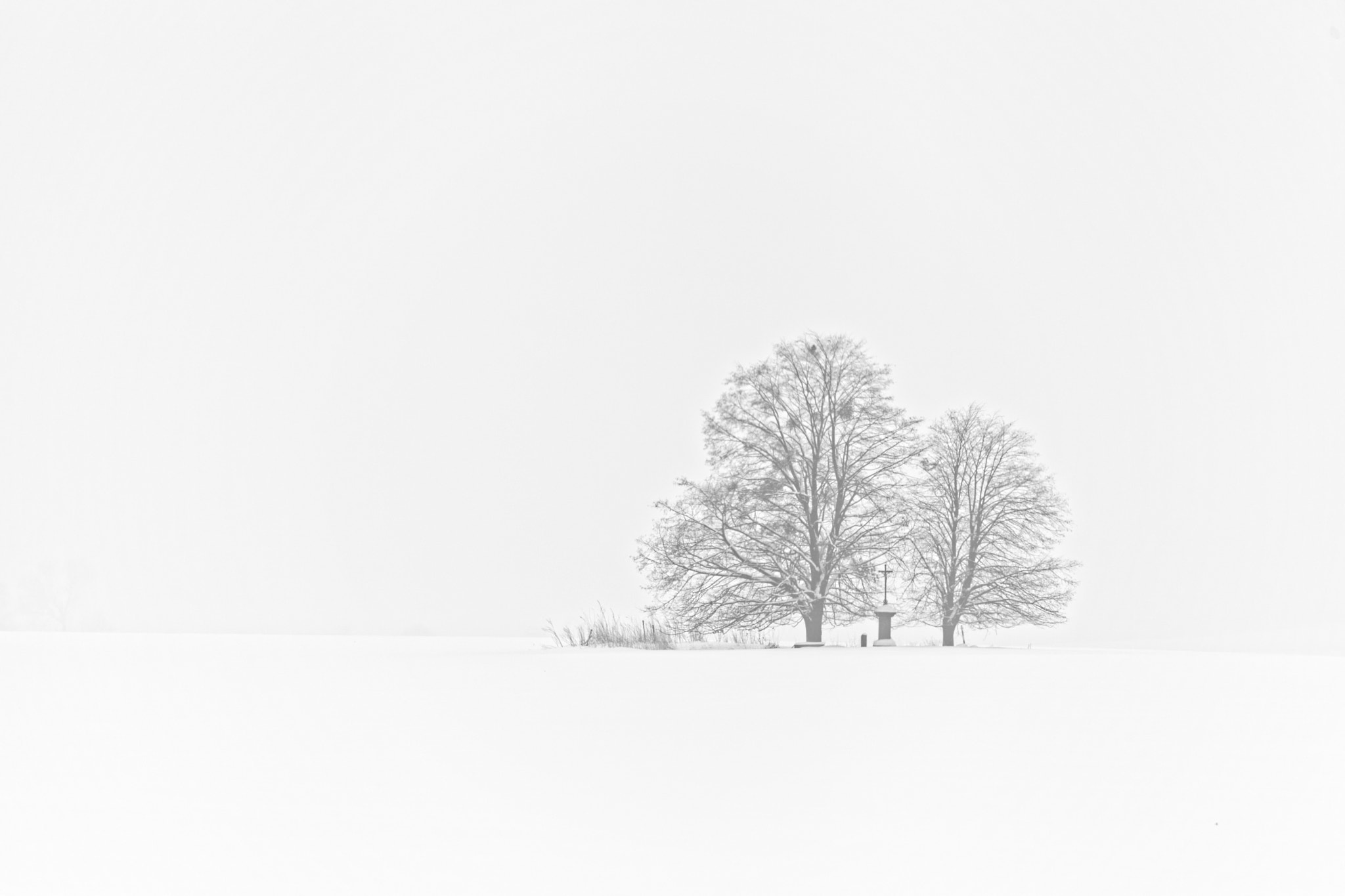 Canon EF 70-200mm F4L IS USM sample photo. Snow white photography
