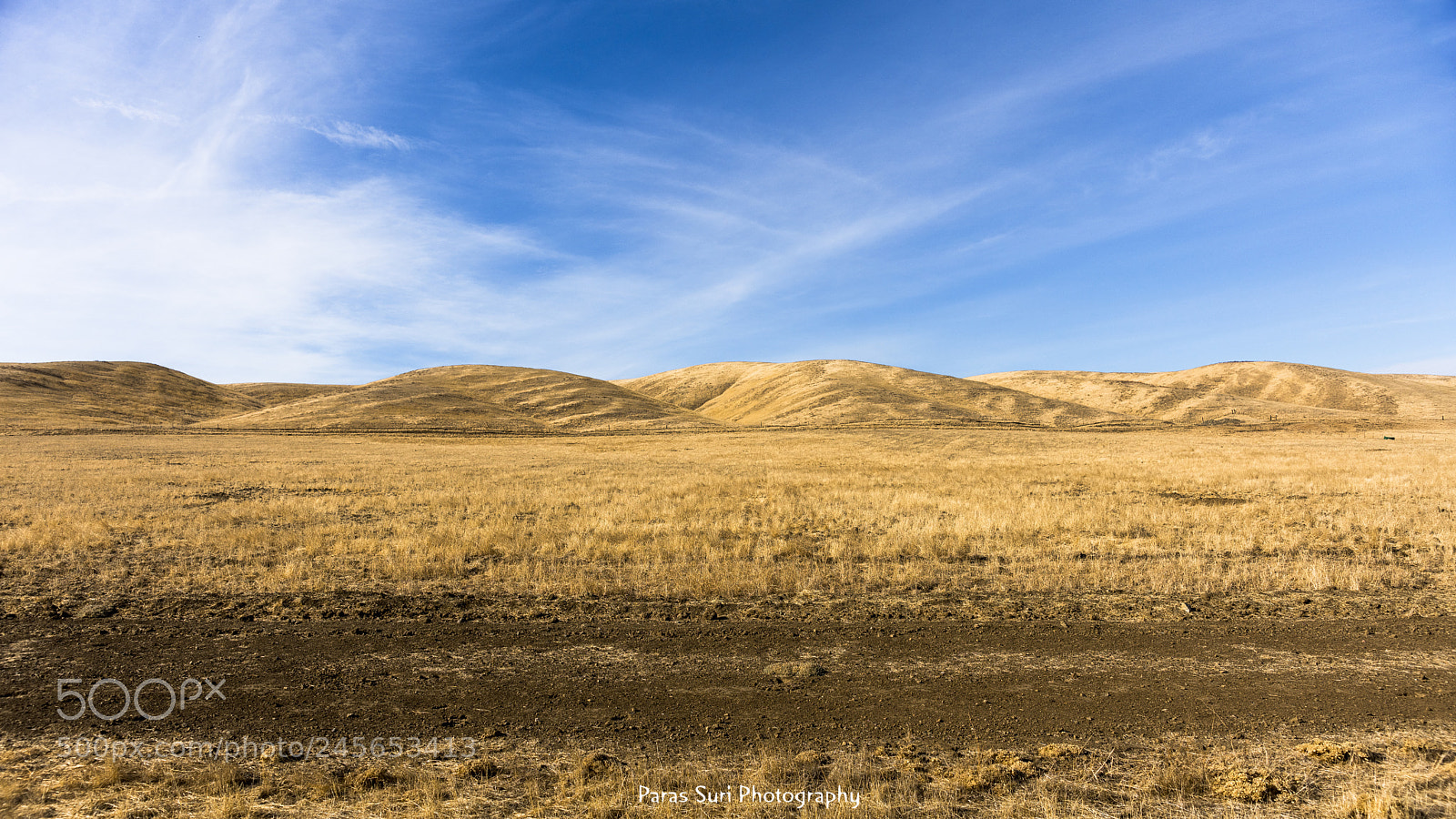 Sony a99 II sample photo. Dry hills photography