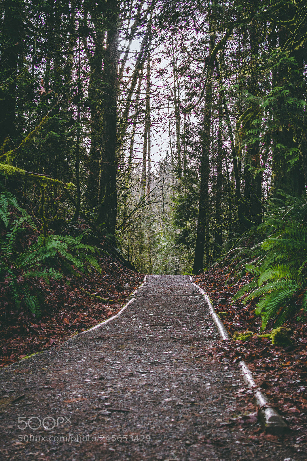 Nikon D5200 sample photo. Hike photography