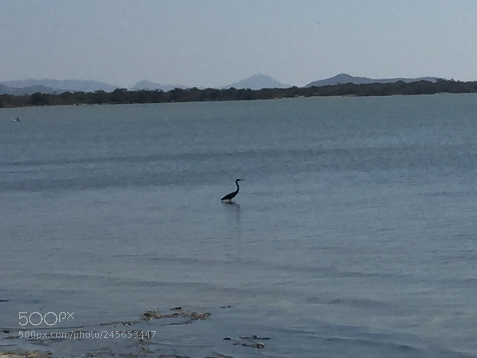 Apple iPhone 6 sample photo. Juchitán oaxaca photography