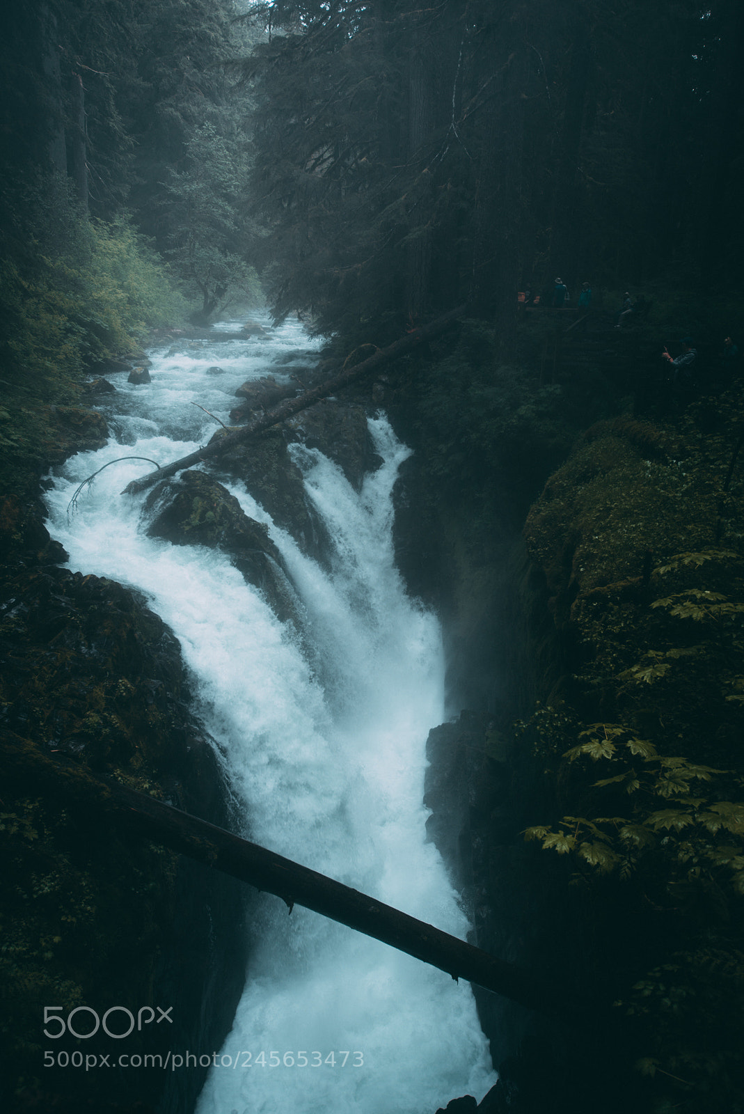 Nikon D800 sample photo. Sol duc falls photography