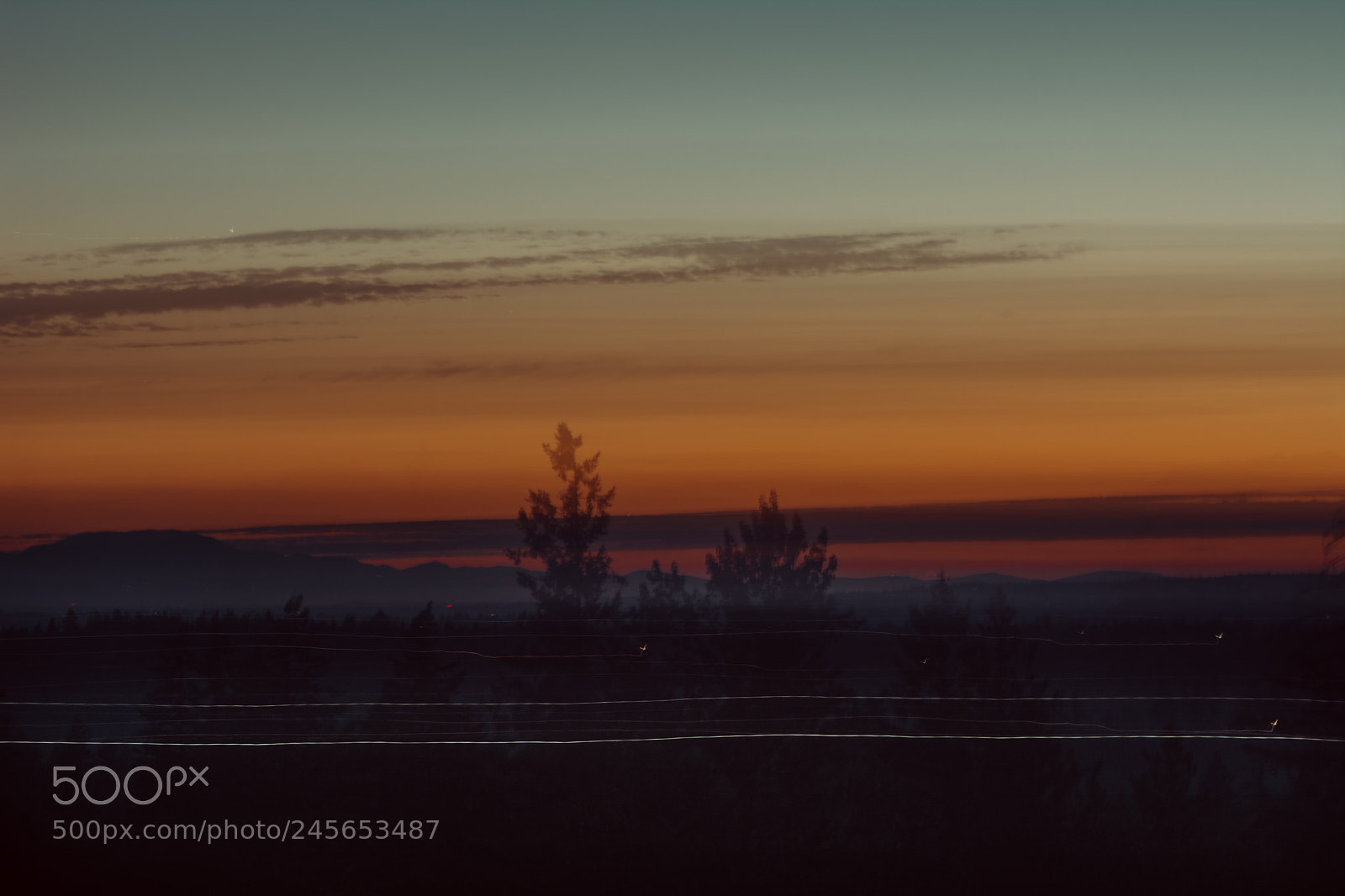 Nikon D5200 sample photo. Sunset movement photography
