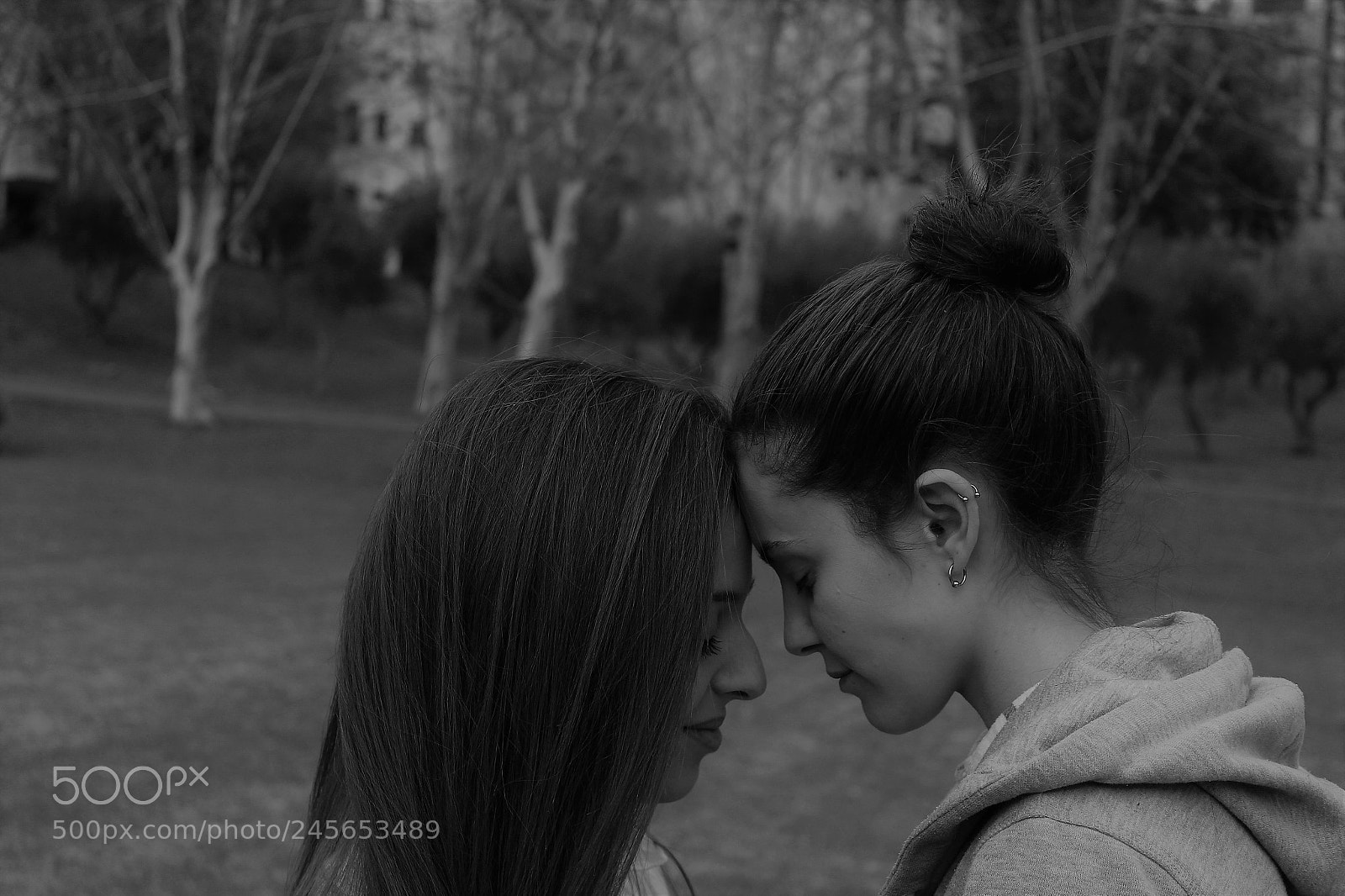 Canon EOS 600D (Rebel EOS T3i / EOS Kiss X5) sample photo. Love birds photography