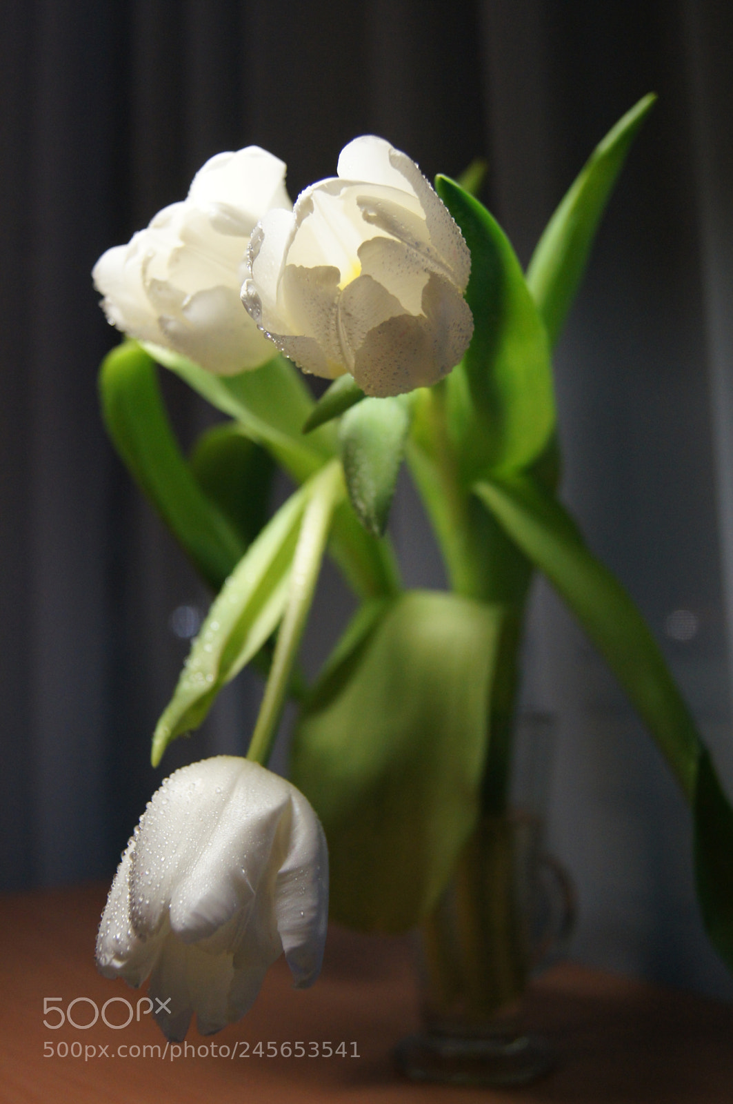 Sony Alpha DSLR-A580 sample photo. Sahte ilkbahar photography
