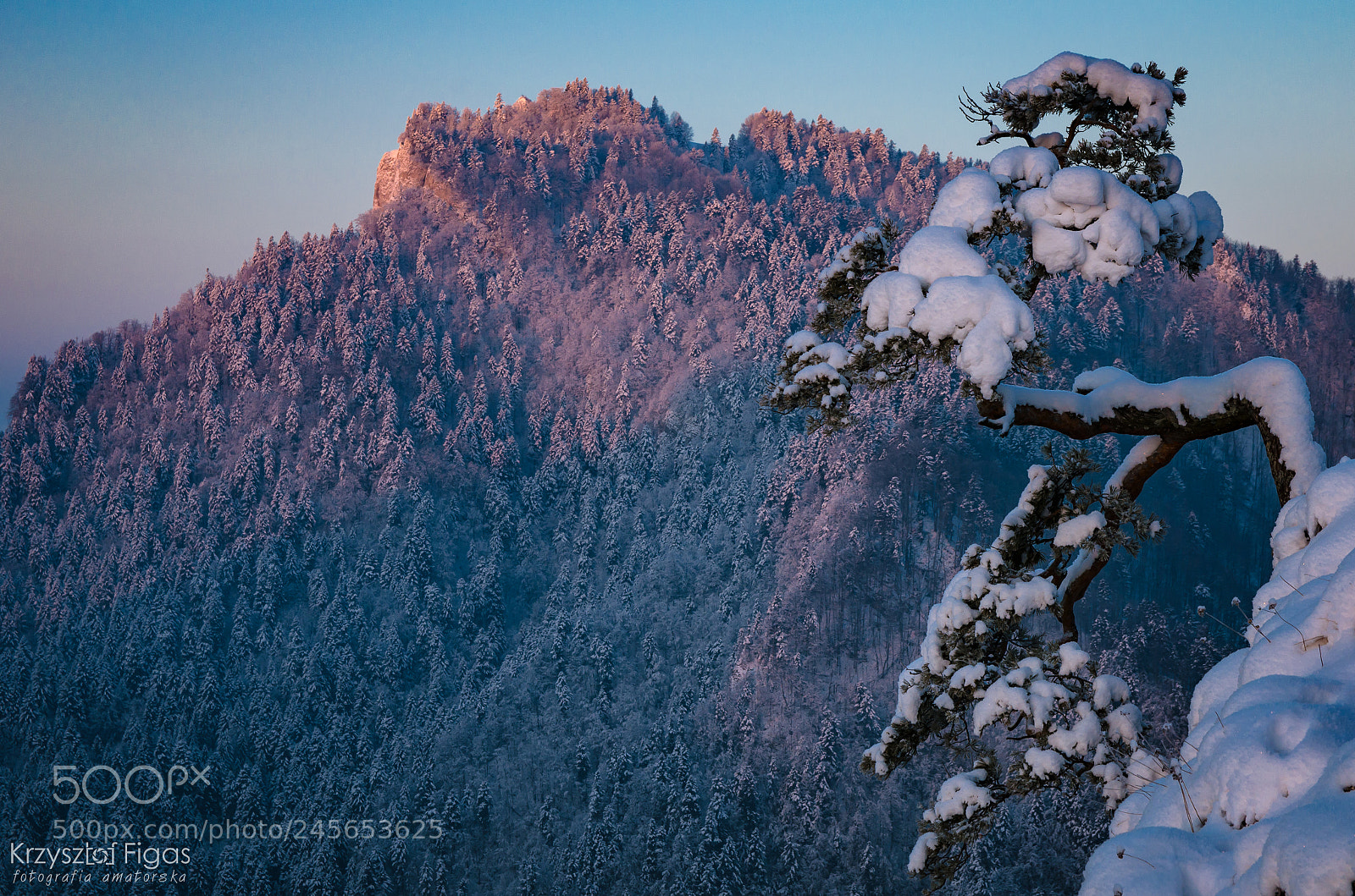 Nikon D5100 sample photo. Frosty morning. photography