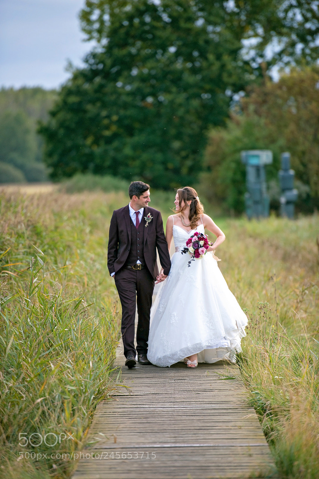 Nikon D810 sample photo. On the boardwalk photography