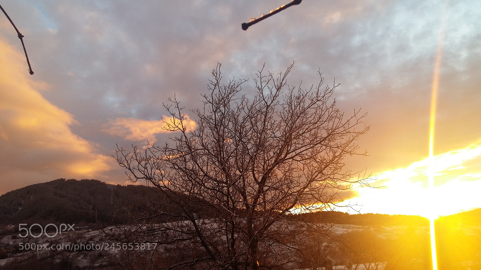 Samsung Galaxy A5 sample photo. ? photography