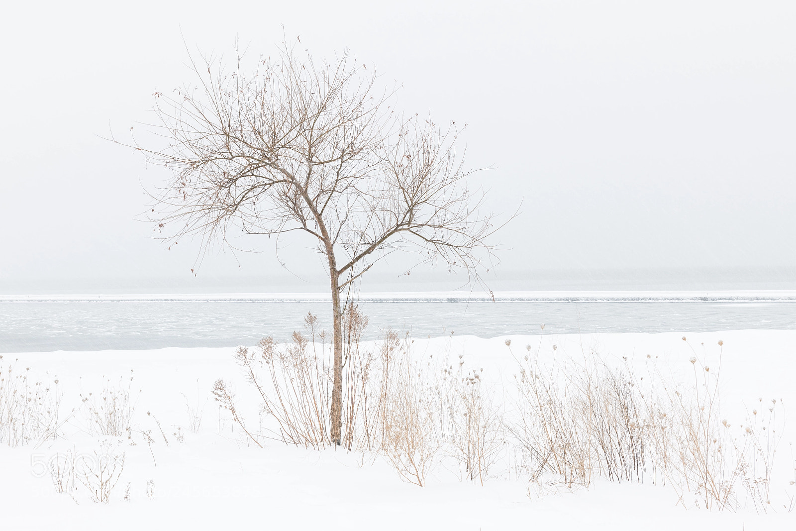 Nikon D850 sample photo. Winter photography