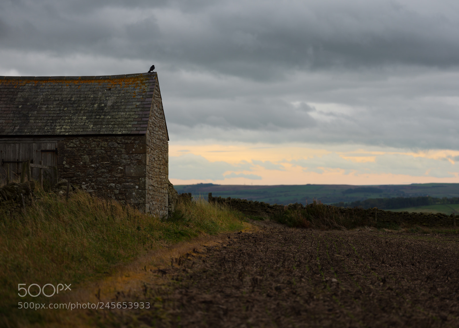 Fujifilm GFX 50S sample photo. Rural sunset photography